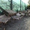Construir Muro