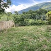 Hacer puesta a punto de jardín