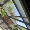 Instalar Toldo Vivienda