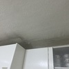 Pintar Interior De Vivienda