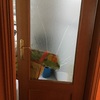 Cambiar cristales en puertas y ventanas