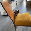 Lacar Muebles