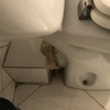 Otros Trabajos De Fontanería