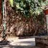 Otros Trabajos De Jardinería