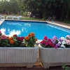 Rehabilitación Piscina