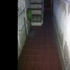 Pavimento Impreso