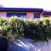 Desbrozar Jardin