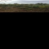 Topografo