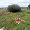 Realizar Movimiento de Tierras en Finca Urbana de 780 m2