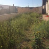 Desbrozar jardín
