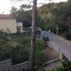 Cortar un pino en calafell y recortarlo para leña