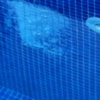 Hacer arreglo total de piscina con gresite
