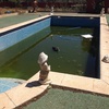 Limpieza de la piscina