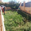 Poner hormigón impreso en área de 80 m2