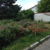 Desbrozar finca