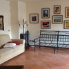 Cojines sofa