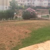 Rediseño de jardín particular de 500m2