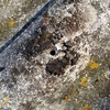 Patio con filtraciones, tapar agujeros en tejado de aluminio y limpiar canaletas