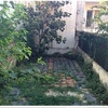 Arreglar jardín (podar un árbol y desbrozar hierbajos)