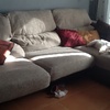Arreglar sofa