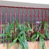 Poner rejas para terraza y ventana