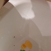 Esmaltar bañera