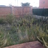 Venta e instalaciones césped