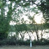Jardin diseño