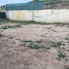 Plantar cesped