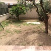 Colocacion de cesped