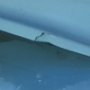 Arreglar piscina de poliéster fibra de vidrio con una gran raja