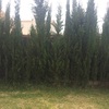 Cesped artificial