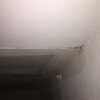 Tirar falso techo y sacar vigas de madera vista en zaragoza