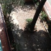 Poner pavimento en jardin comunitària