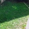 Acondicionar jardin