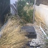 Ensolar patio