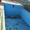 Hacer revisión y pintura de piscina de obra