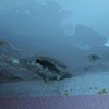 Reparar tejado e impermeabilizar