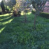 Cortar césped jardin