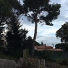 Tala de tres pinos