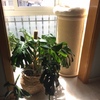 Mudanza Vivienda