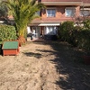 Plantar Cesped