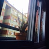 Solicito presupuesto para limpieza de ventanas