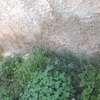 Tuberia uralita