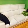 Limpieza de sofa