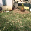 Quitar césped y jardinera