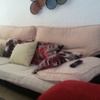 Tapizar 2 sofas