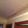 Moldura del techo