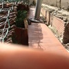 Subir muro terraza
