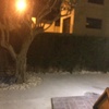 Cercados divisorios en bambú seco